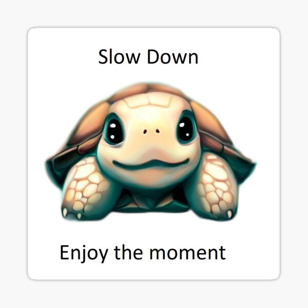 Slow Down and enjoy the moment Sticker