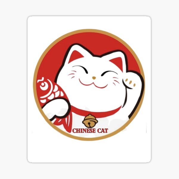 Camisetas niños doy suerte - gato chino