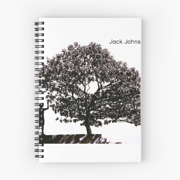 Item preview, Jack Johnson in Between Dreams  designed and sold by MayraLebsa.