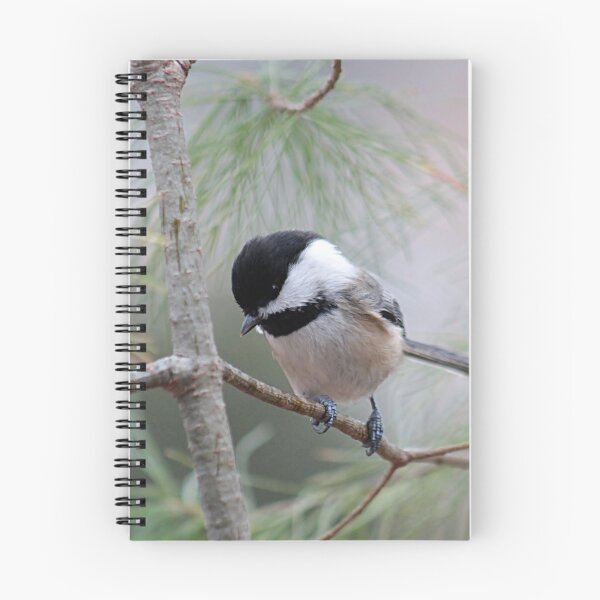 Item preview, Chickadee in the pine tree designed and sold by Linda Crockett.