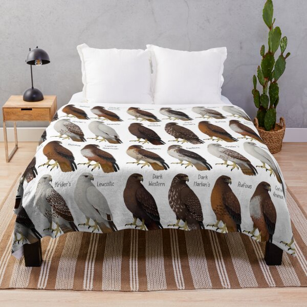 Item preview, Red-tailed Hawk Morphs and Subspecies designed and sold by Kindahawkward.