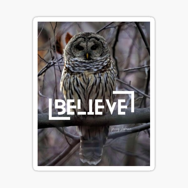 Believe By Yannis Lobaina  Sticker