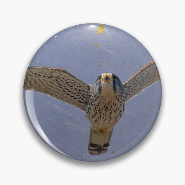 Item preview, With my Wings and Tail designed and sold by RussJenkins.
