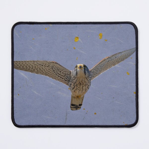 Item preview, With my Wings and Tail designed and sold by RussJenkins.