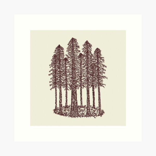 Cathedral Grove (Coastal Redwoods) Art Print