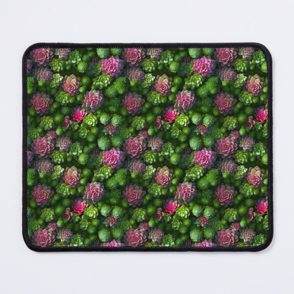 Item preview, Blooming Burro's Tail Delight: Sedum Morganianum Brilliance - Maixibilionoxis Vertical Garden Collection designed and sold by Maixibilionoxis.