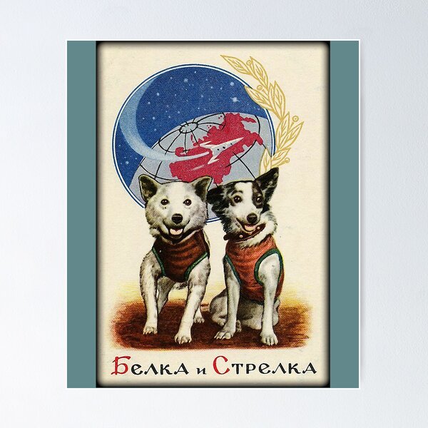 Artikel-Vorschau von Belka und Strelka Weltraumhunde, designt und verkauft von MearlKenton.