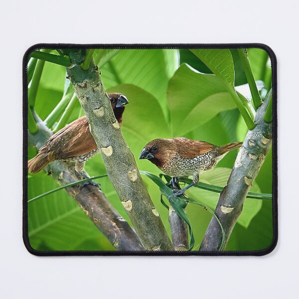 Item preview, The melodious bird designed and sold by franck380.
