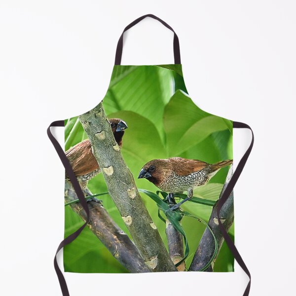 Item preview, The melodious bird designed and sold by franck380.