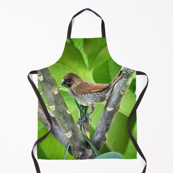 Item preview, The melodious bird designed and sold by franck380.