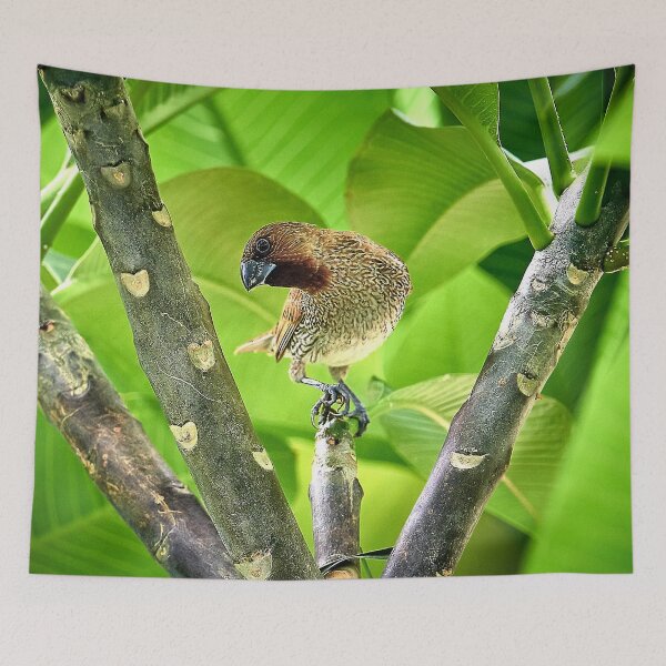 Item preview, The melodious bird designed and sold by franck380.