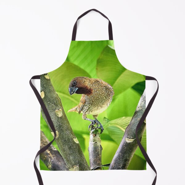 Item preview, The melodious bird designed and sold by franck380.