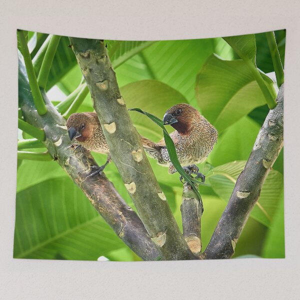 Item preview, The melodious bird designed and sold by franck380.