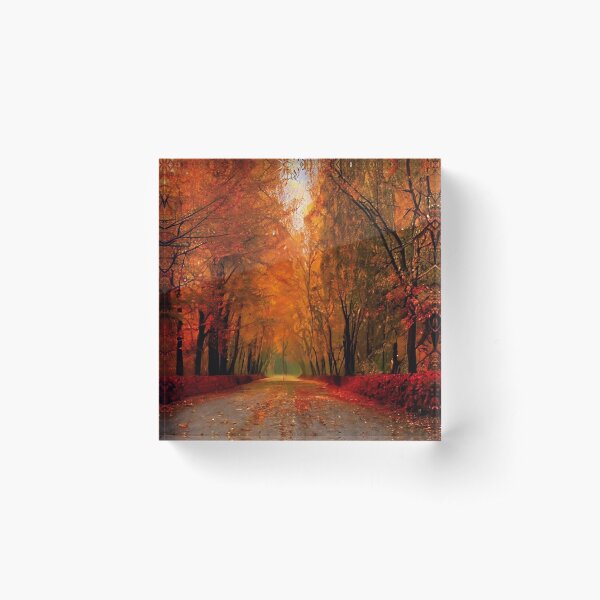 Aperçu de l'œuvre Ambre Automne créée et vendue par eduk8byfoyles.