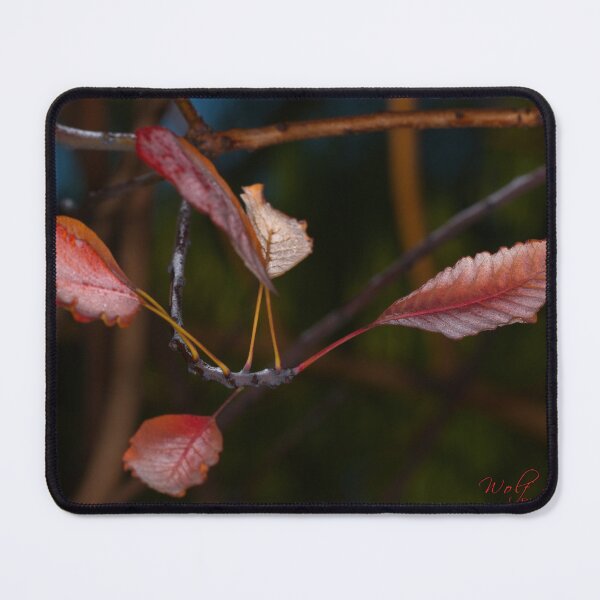 Item preview, Macros at minus 3 degrees C (26) designed and sold by Wolf Sverak Photography.