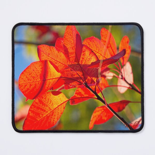 Item preview, Macros at minus 3 degrees C (25) designed and sold by Wolf Sverak Photography.