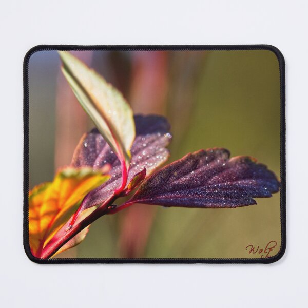 Item preview, Macros at minus 3 degrees C (23) designed and sold by Wolf Sverak Photography.