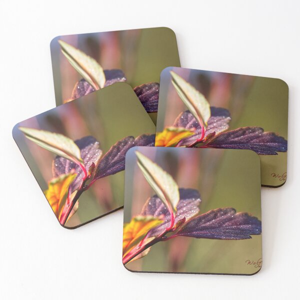 Item preview, Macros at minus 3 degrees C (23) designed and sold by Wolf Sverak Photography.