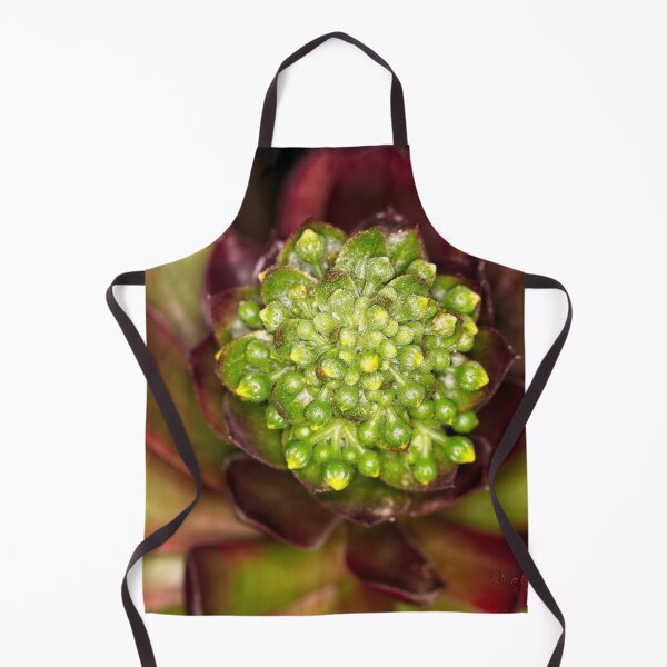 Item preview, Macros at minus 3 degrees C (22) designed and sold by Wolf Sverak Photography.