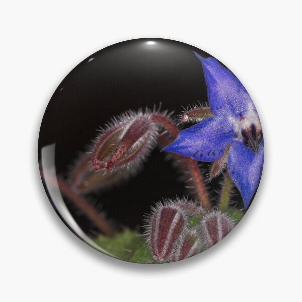 Item preview, Macros at minus 3 degrees C (20) designed and sold by Wolf Sverak Photography.