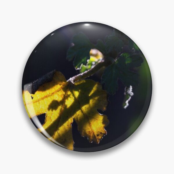 Item preview, Macros at minus 3 degrees C (19) designed and sold by Wolf Sverak Photography.
