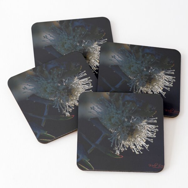 Item preview, Macros at minus 3 degrees C (18) designed and sold by Wolf Sverak Photography.