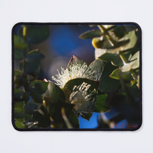 Item preview, Macros at minus 3 degrees C (17) designed and sold by Wolf Sverak Photography.