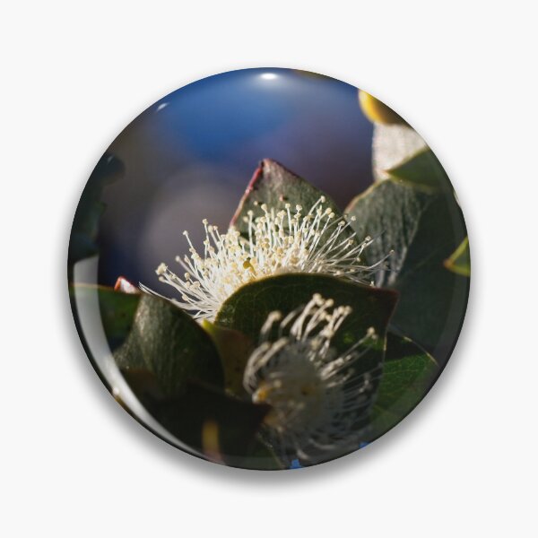 Item preview, Macros at minus 3 degrees C (17) designed and sold by Wolf Sverak Photography.