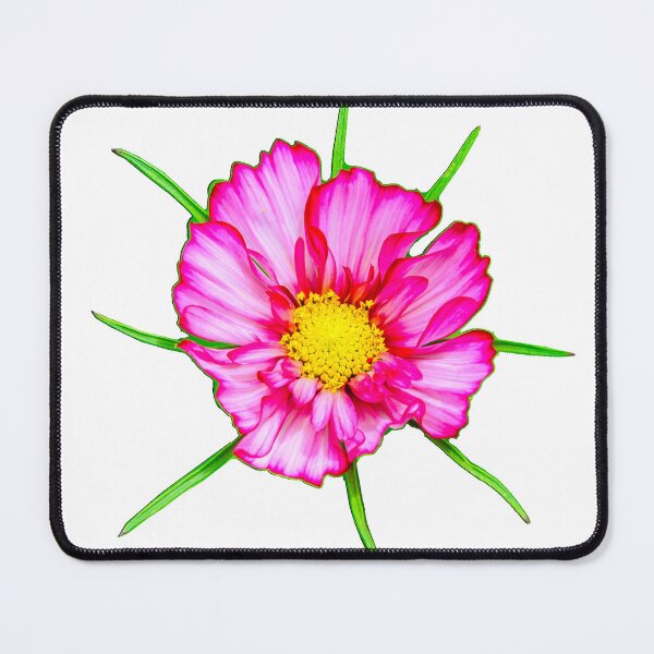 Item preview, Pink Cosmos flower designed and sold by Dalyndigital Photography.