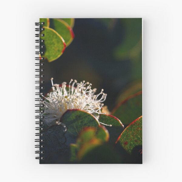 Item preview, Macros at minus 3 degrees C (16) designed and sold by Wolf Sverak Photography.