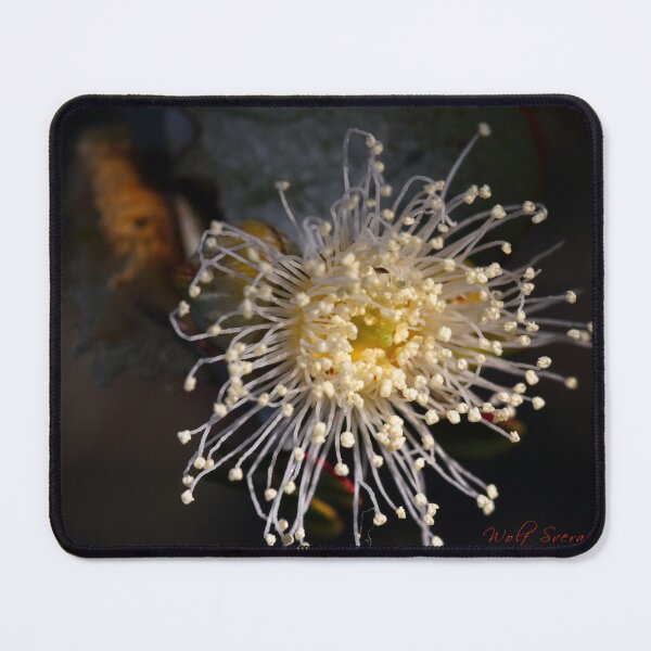Item preview, Macros at minus 3 degrees C (15) designed and sold by Wolf Sverak Photography.