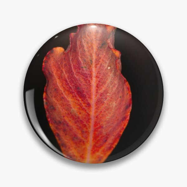 Item preview, Macros at minus 3 degrees C (14) designed and sold by Wolf Sverak Photography.