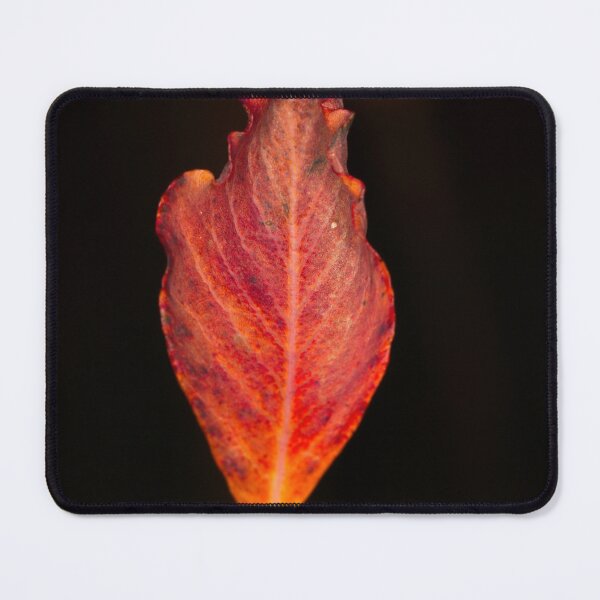Item preview, Macros at minus 3 degrees C (14) designed and sold by Wolf Sverak Photography.