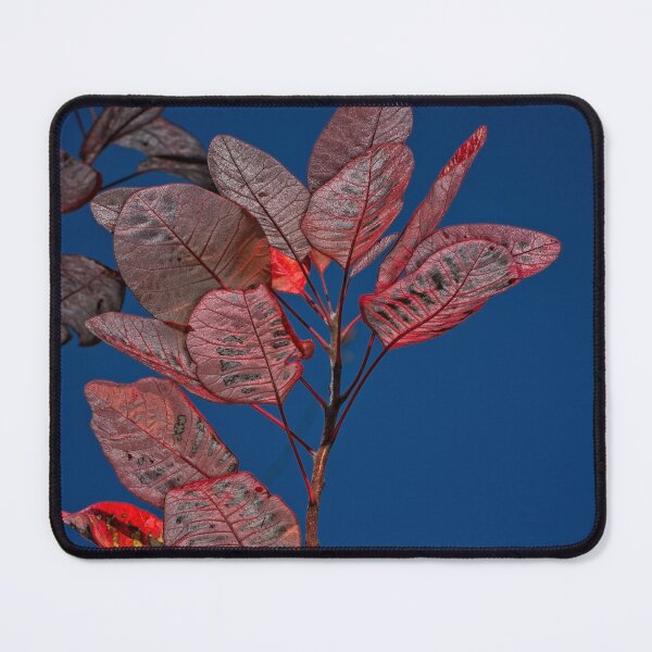 Item preview, Macros at minus 3 degrees C (13) designed and sold by Wolf Sverak Photography.
