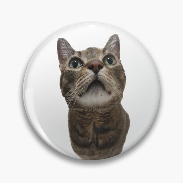 Artikelvorschau, Stinkende Katze entworfen und verkauft von AbsurdExotics.