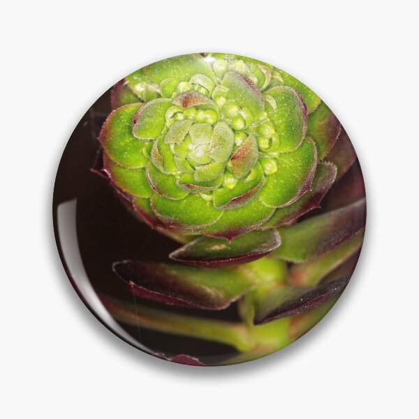 Item preview, Macros at minus 3 degrees C (9) designed and sold by Wolf Sverak Photography.