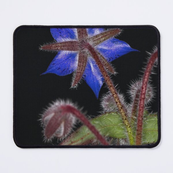 Item preview, Macros at minus 3 degrees C (7) designed and sold by Wolf Sverak Photography.