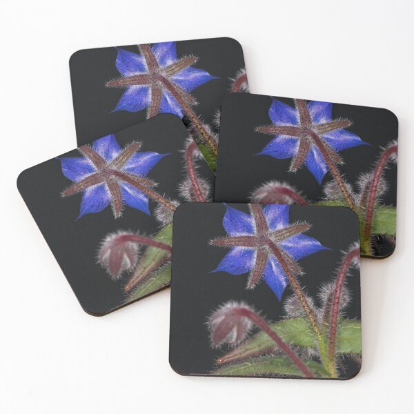 Item preview, Macros at minus 3 degrees C (7) designed and sold by Wolf Sverak Photography.