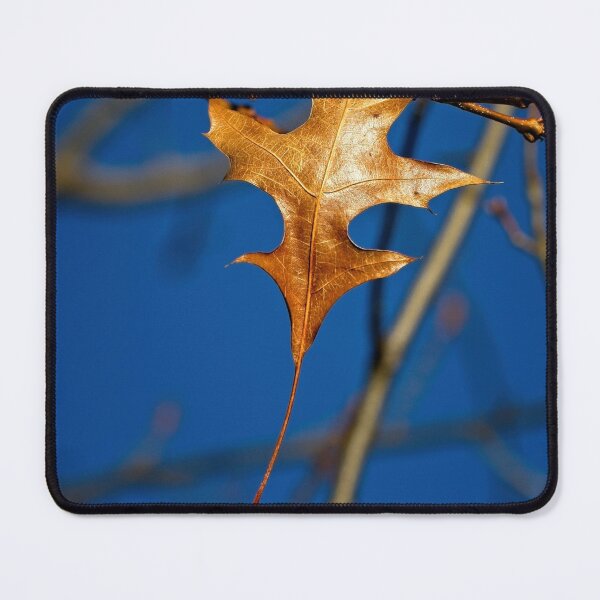 Item preview, Macros at minus 3 degrees C (6) designed and sold by Wolf Sverak Photography.