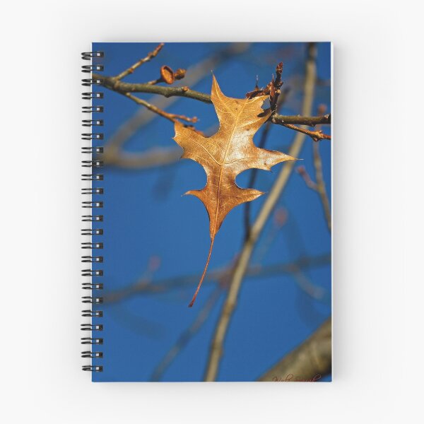 Item preview, Macros at minus 3 degrees C (6) designed and sold by Wolf Sverak Photography.