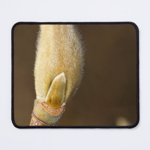 Item preview, Macros at minus 3 degrees C (5) designed and sold by Wolf Sverak Photography.