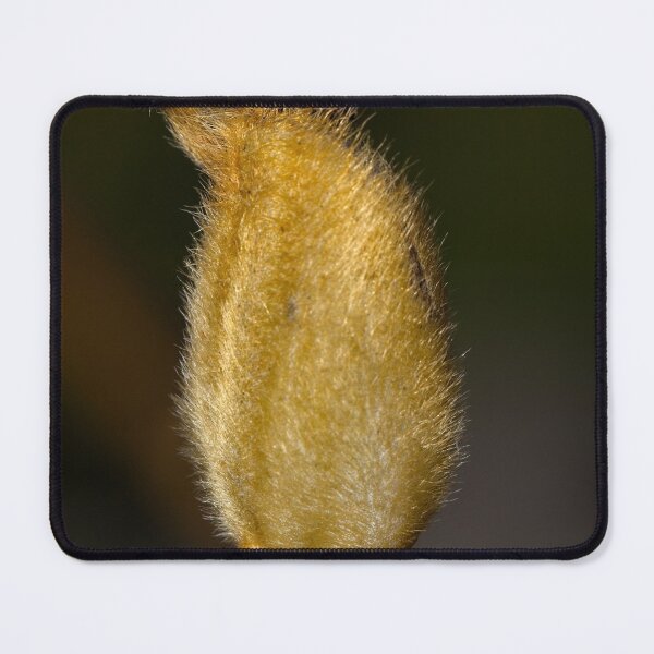 Item preview, Macros at minus 3 degrees C (4) designed and sold by Wolf Sverak Photography.