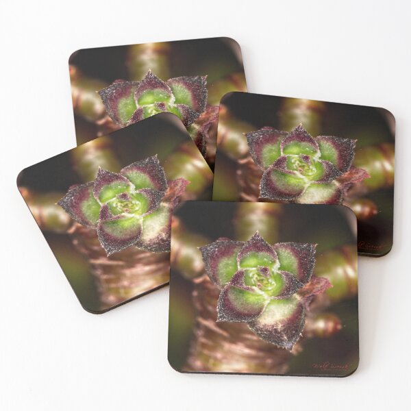 Item preview, Macros at minus 3 degrees C (3) designed and sold by Wolf Sverak Photography.