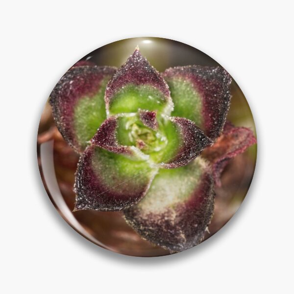 Item preview, Macros at minus 3 degrees C (3) designed and sold by Wolf Sverak Photography.