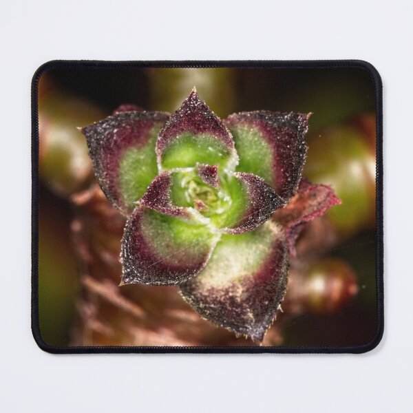 Item preview, Macros at minus 3 degrees C (3) designed and sold by Wolf Sverak Photography.