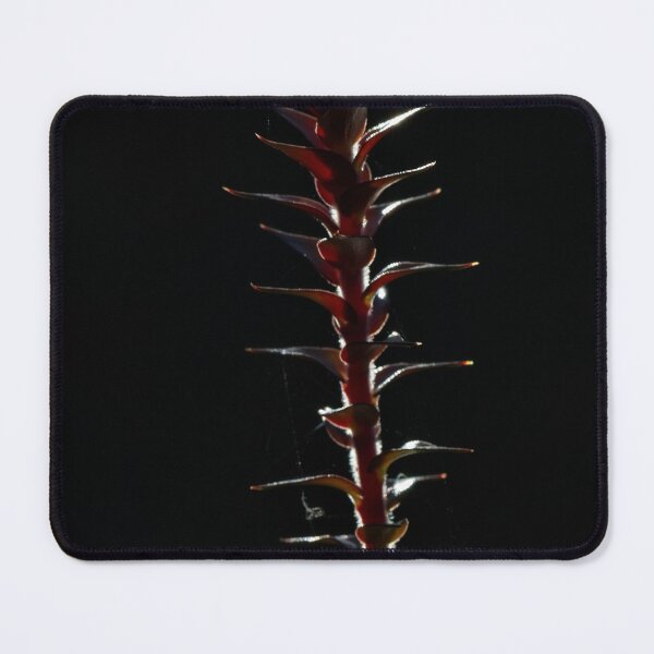 Item preview, Macros at minus 3 degrees C (2) designed and sold by Wolf Sverak Photography.
