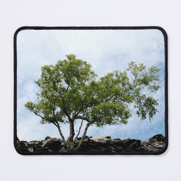Item preview, quarry tree designed and sold by KathleenDawson.