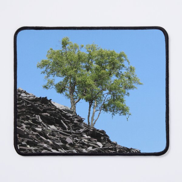 Item preview, quarry tree designed and sold by KathleenDawson.