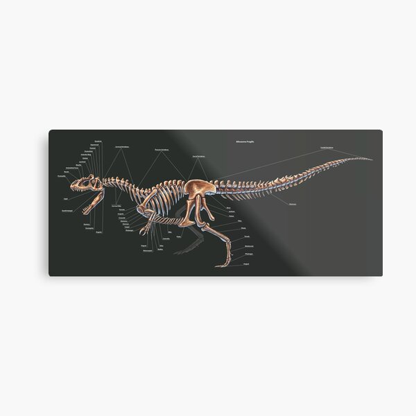 Allosaurus, bipedal carnivorous dinosaur available as Framed