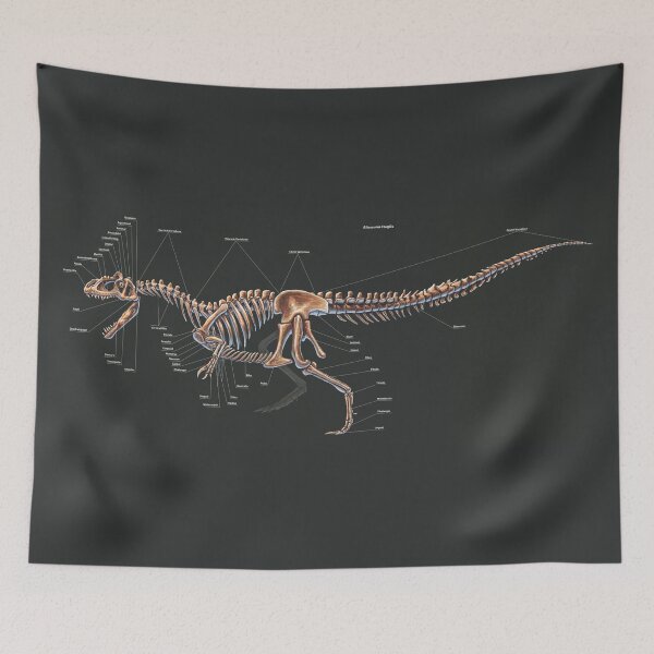 Item preview, Allosaurus Fragilis Skeleton Study designed and sold by Thedragonofdoom.